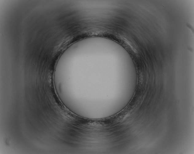 X0000092010545200709061311