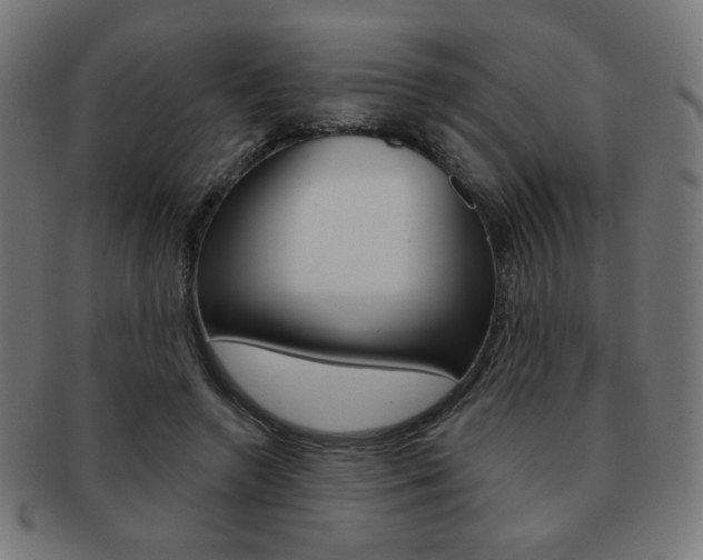 X0000092010546200709061311