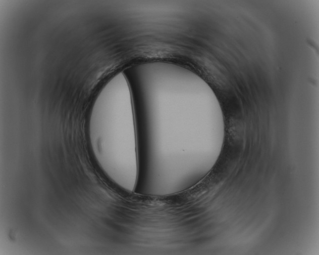X0000092010547200709061311