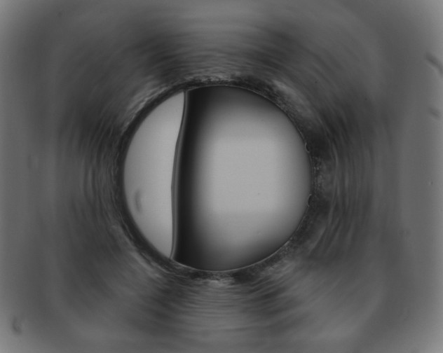 X0000092010548200709061311