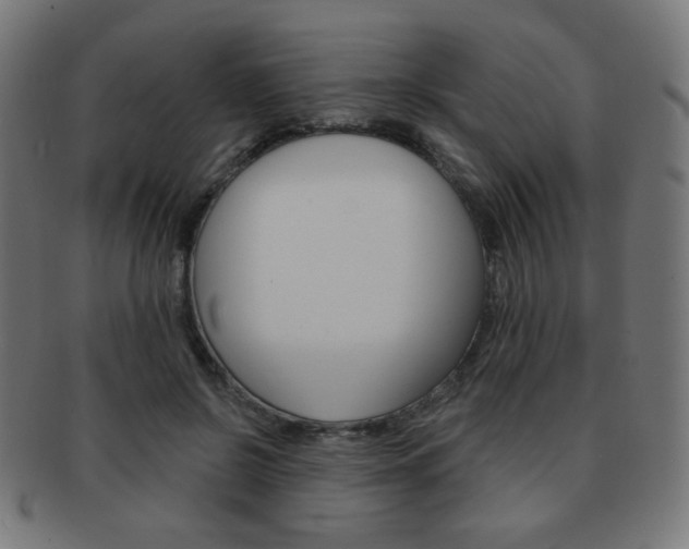 X0000092010550200709061311