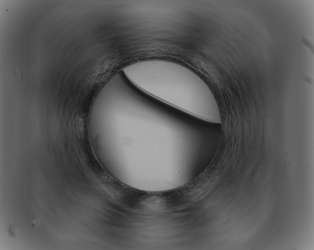 X0000092010551200709061311