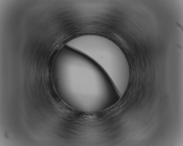 X0000092010552200709061311