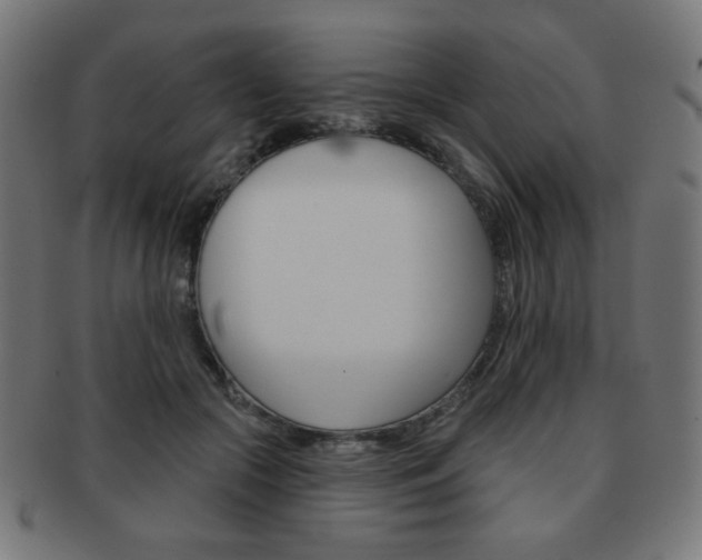 X0000092010553200709061311
