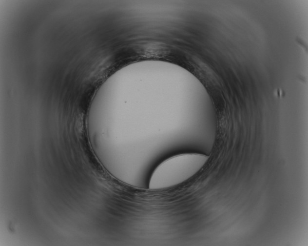 X0000092010554200709061311