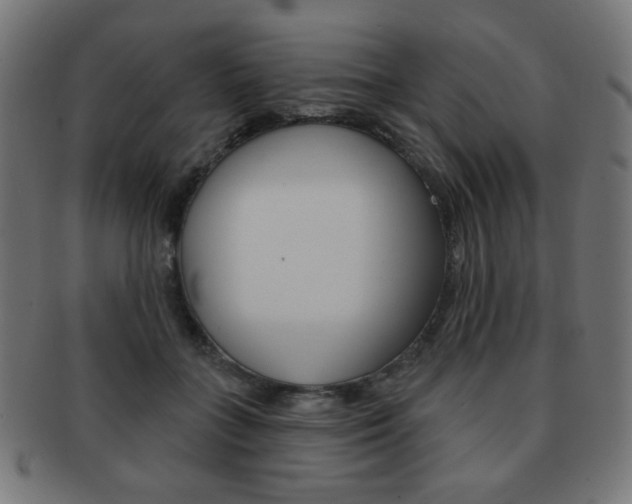 X0000092010555200709061311