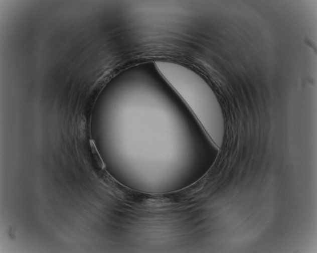 X0000092010556200709061311