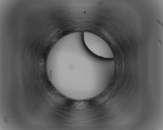 X0000092010557200709061311