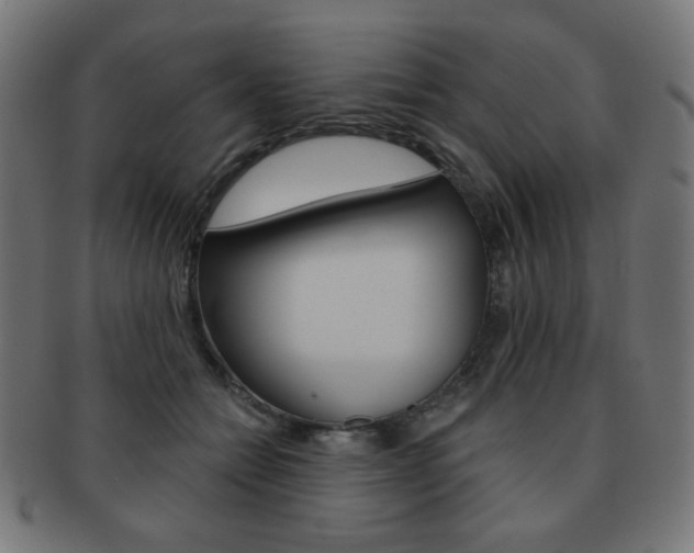 X0000092010558200709061311