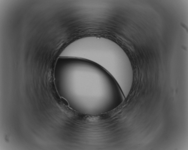 X0000092010560200709061311