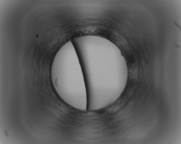 X0000092010561200709061311