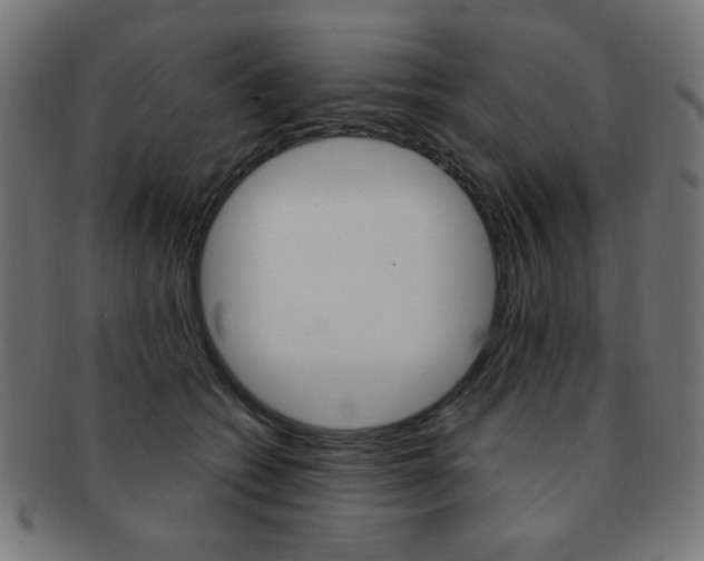 X0000092010562200709061311