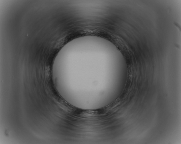 X0000092010563200709061311