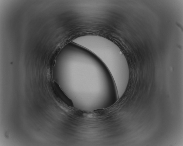 X0000092010564200709061311