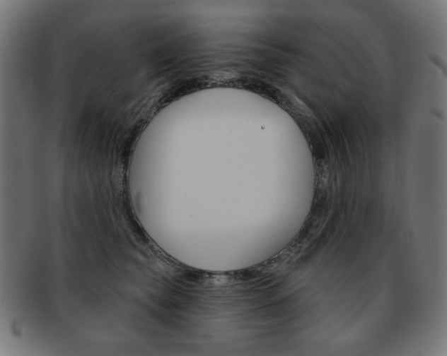 X0000092010565200709061311