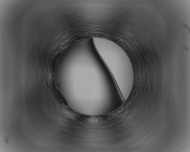 X0000092010566200709061311