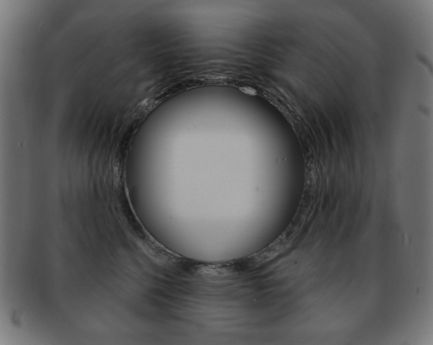X0000092010568200709061311