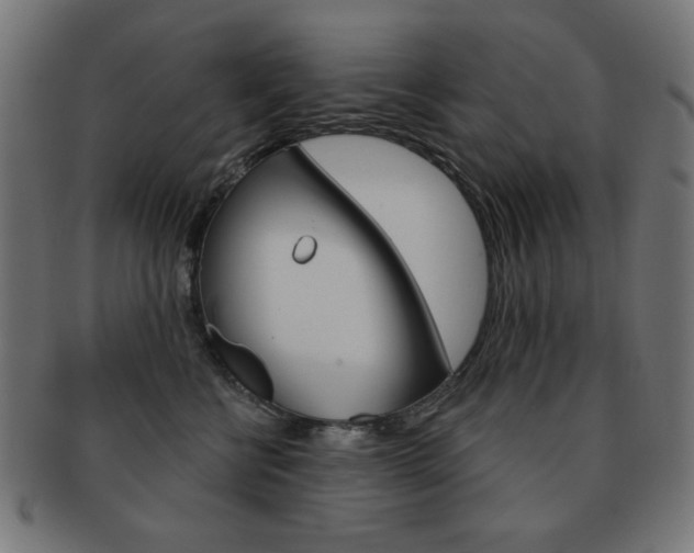 X0000092010570200709061311