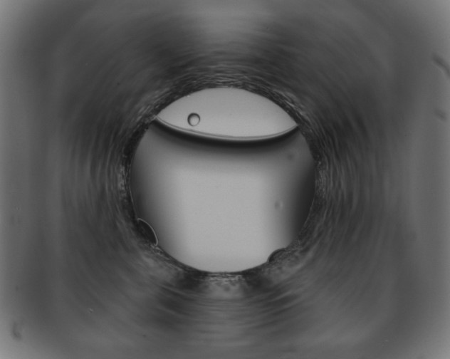 X0000092010571200709061311