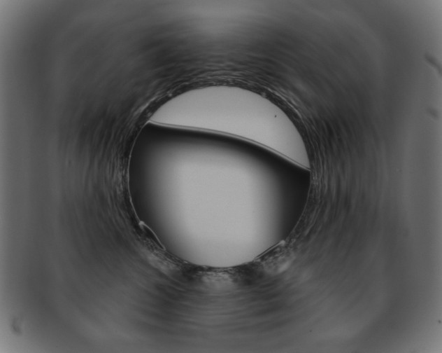 X0000092010572200709061311
