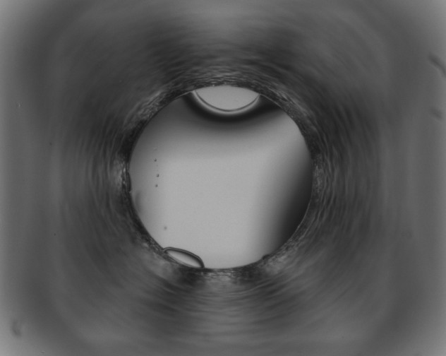 X0000092010574200709061312