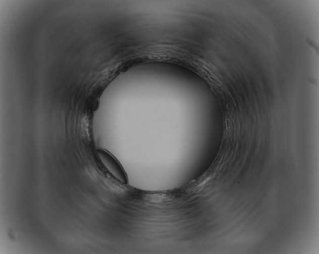 X0000092010575200709061312