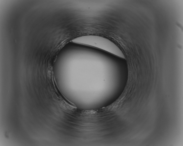 X0000092010576200709061312