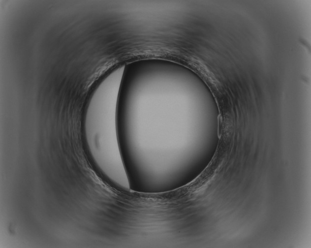 X0000092010585200709061311