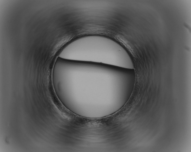 X0000092010586200709061311
