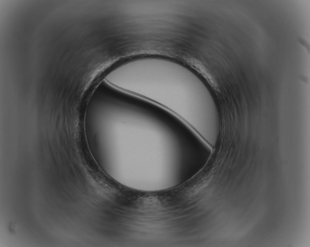 X0000092010588200709061311