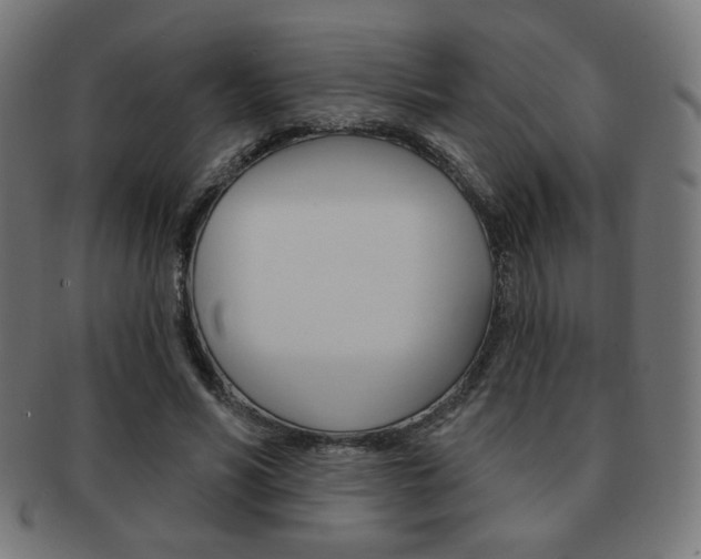 X0000092010590200709061311