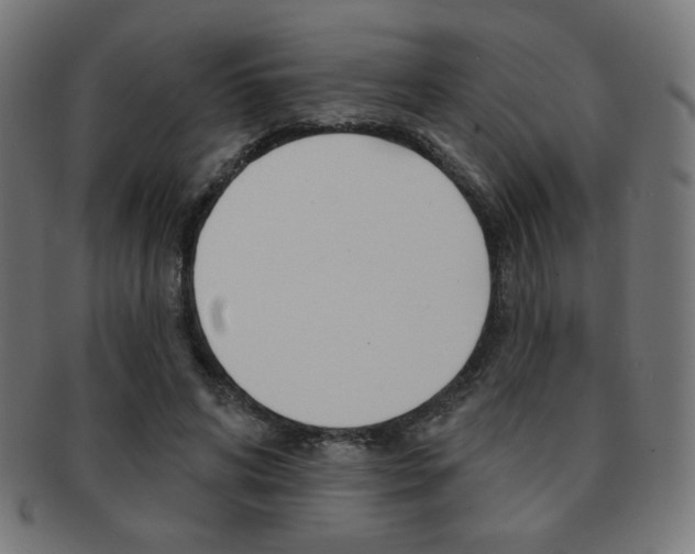X0000092010592200709061311