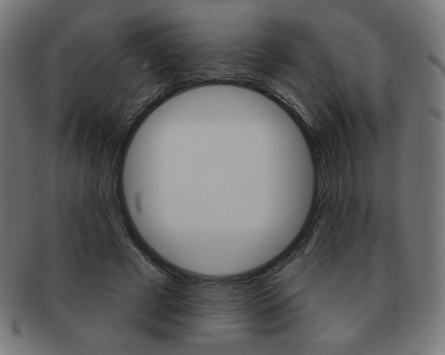 X0000092010593200709061311