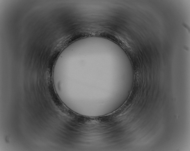 X0000092010594200709061311