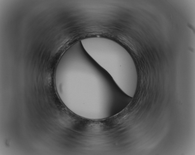 X0000092010595200709061311