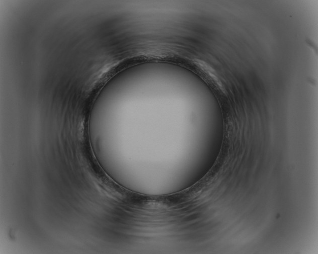 X0000092010596200709061311