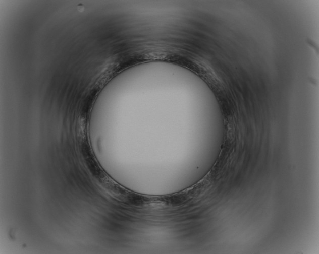 X0000092010598200709061311