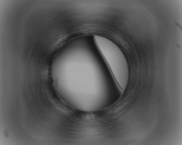 X0000092010600200709061311