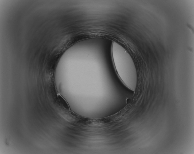 X0000092010601200709061311