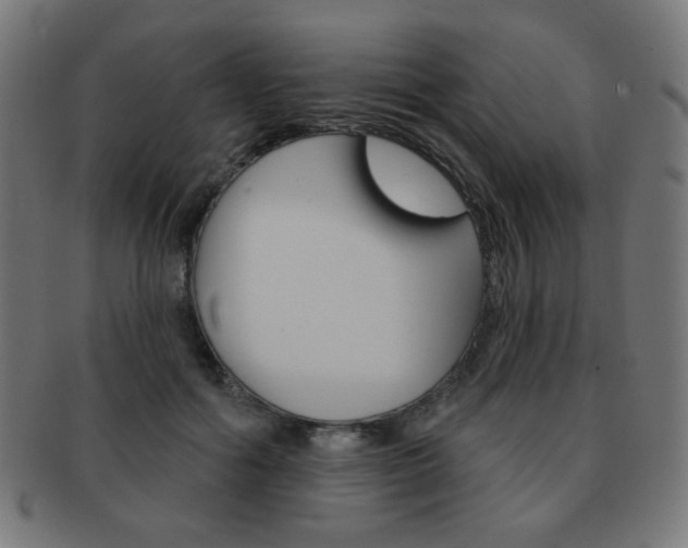 X0000092010602200709061310