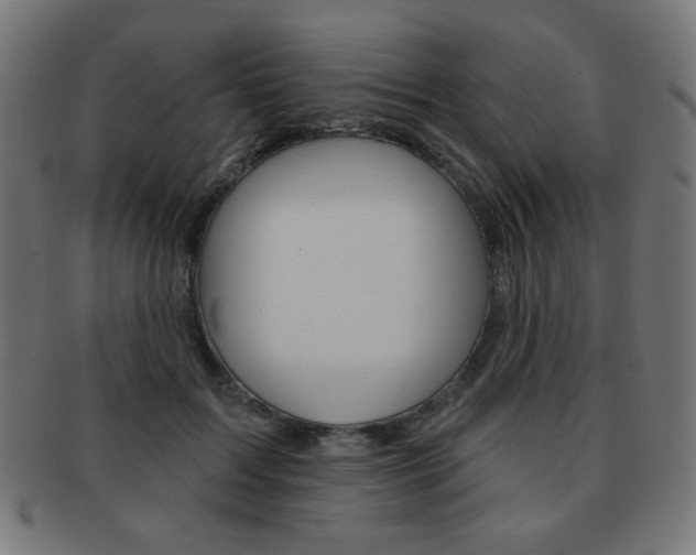 X0000092010603200709061310