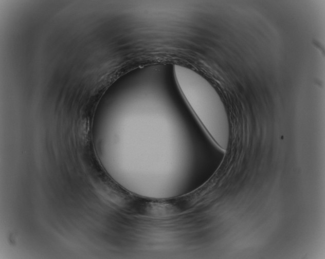 X0000092010605200709061310