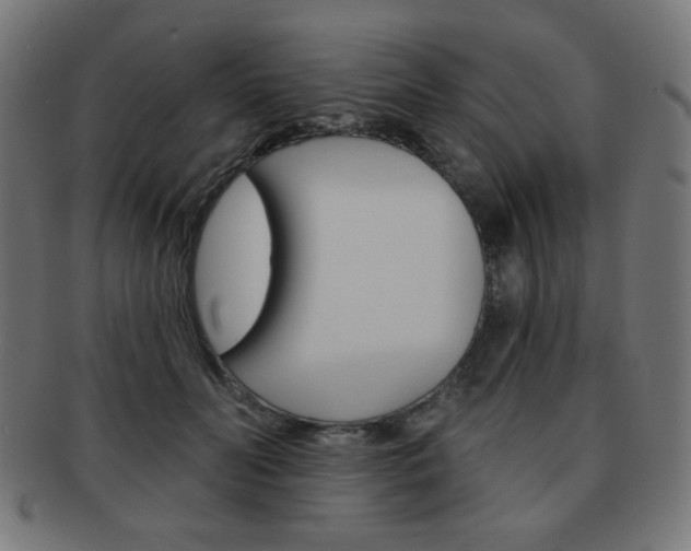 X0000092010606200709061310