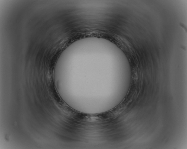 X0000092010607200709061310