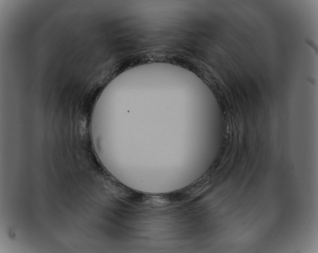 X0000092010610200709061310