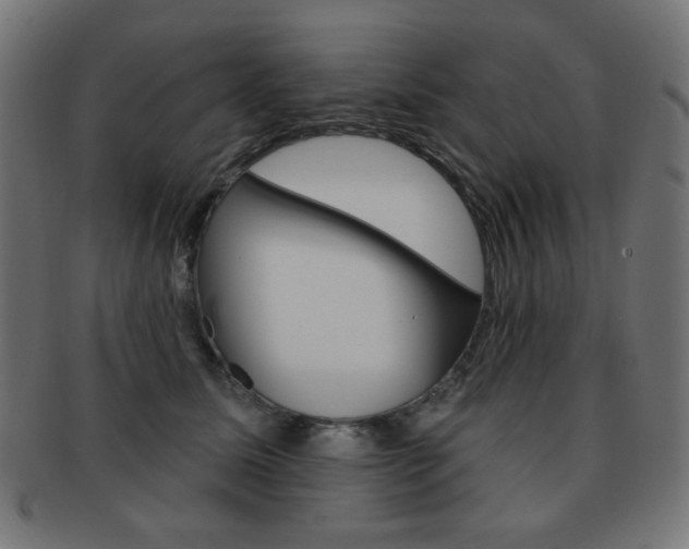 X0000092010611200709061310