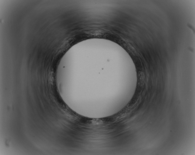 X0000092010612200709061310