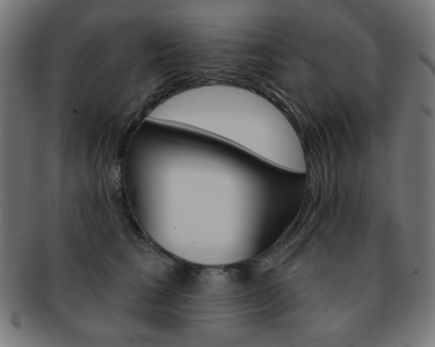 X0000092010613200709061310