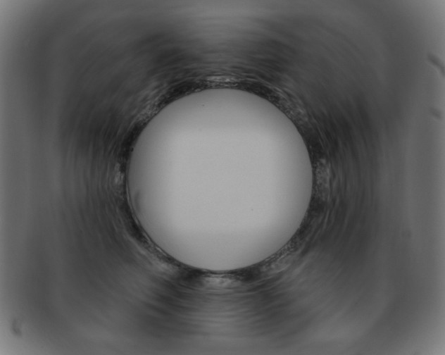 X0000092010614200709061310