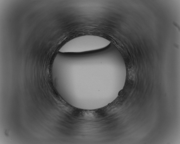 X0000092010618200709061310